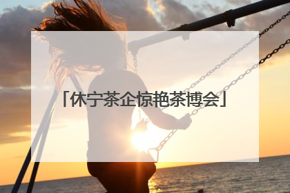 休宁茶企惊艳茶博会
