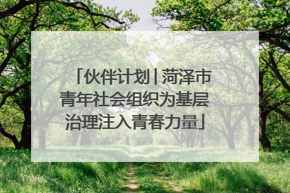 伙伴计划│菏泽市青年社会组织为基层治理注入青春力量