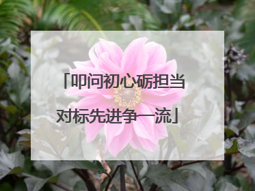 叩问初心砺担当 对标先进争一流