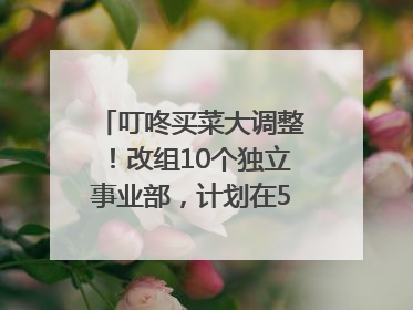叮咚买菜大调整！改组10个独立事业部，计划在5月完成App端全面改版