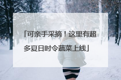 可亲手采摘！这里有超多夏日时令蔬菜上线