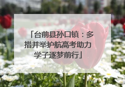 台前县孙口镇：多措并举护航高考助力学子逐梦前行