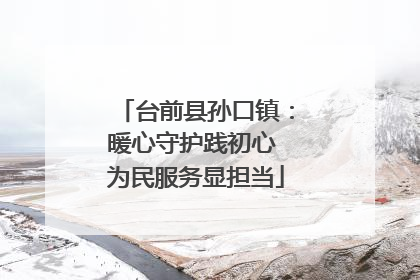 台前县孙口镇：暖心守护践初心 为民服务显担当