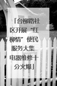 台柳路社区开展“红柳情”便民服务大集 电器维修十分火爆