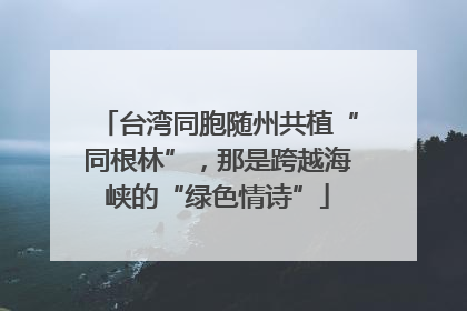 台湾同胞随州共植“同根林”，那是跨越海峡的“绿色情诗”