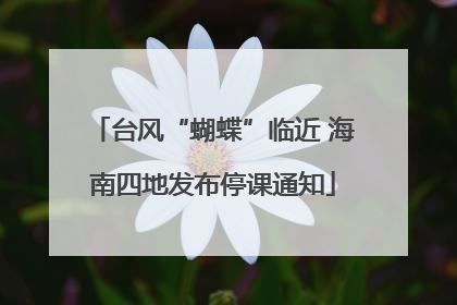 台风“蝴蝶”临近 海南四地发布停课通知