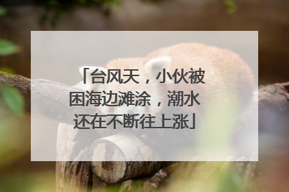 台风天，小伙被困海边滩涂，潮水还在不断往上涨