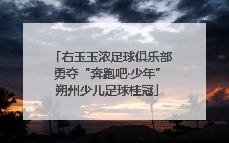 右玉玉浓足球俱乐部勇夺“奔跑吧·少年”朔州少儿足球桂冠