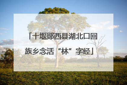十堰郧西县湖北口回族乡念活“林”字经