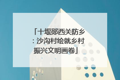 十堰郧西关防乡：沙沟村绘就乡村振兴文明画卷