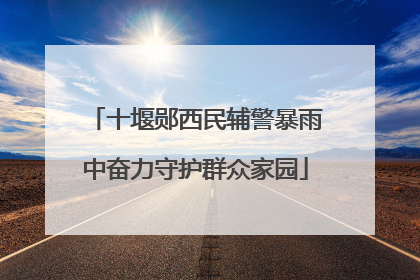 十堰郧西民辅警暴雨中奋力守护群众家园