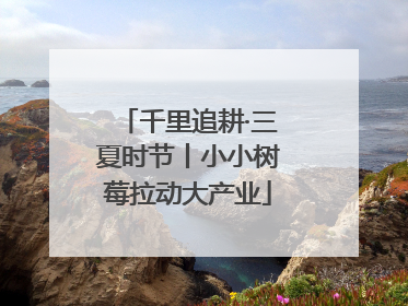 千里追耕·三夏时节丨小小树莓拉动大产业