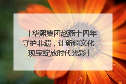 华熙集团赵燕十四年守护非遗，让新疆文化瑰宝绽放时代光彩