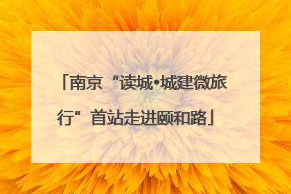 南京“读城•城建微旅行”首站走进颐和路