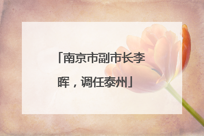 南京市副市长李晖，调任泰州
