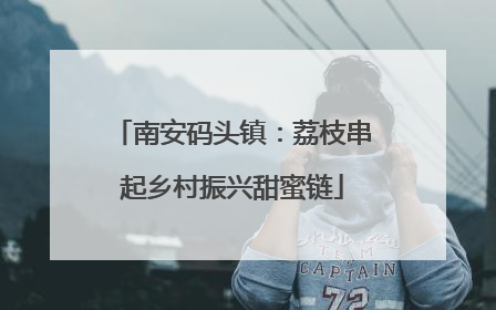 南安码头镇：荔枝串起乡村振兴甜蜜链