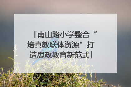 南山路小学整合“培真教联体资源”打造思政教育新范式