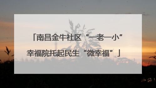 南昌金牛社区“一老一小”幸福院托起民生“微幸福”