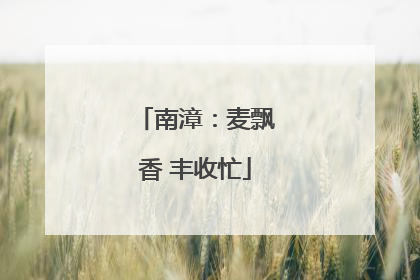 南漳：麦飘香 丰收忙