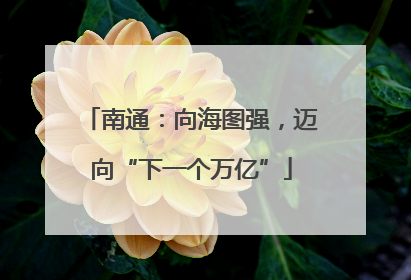 南通：向海图强，迈向“下一个万亿”