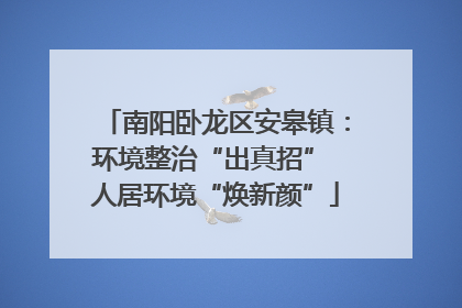 南阳卧龙区安皋镇：环境整治“出真招” 人居环境“焕新颜”