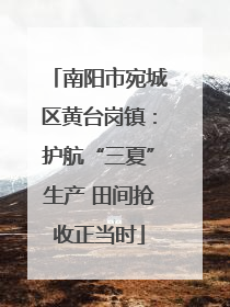 南阳市宛城区黄台岗镇：护航“三夏”生产 田间抢收正当时