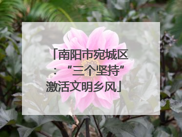 南阳市宛城区：“三个坚持”激活文明乡风