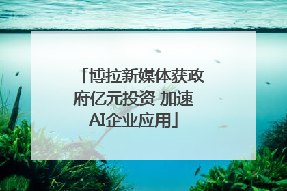 博拉新媒体获政府亿元投资 加速AI企业应用
