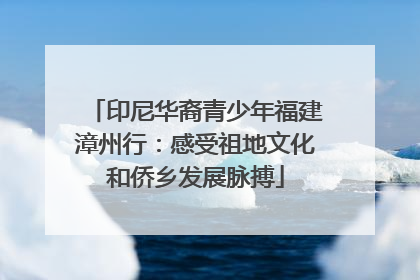 印尼华裔青少年福建漳州行：感受祖地文化和侨乡发展脉搏