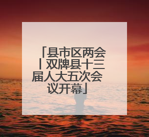县市区两会丨双牌县十三届人大五次会议开幕