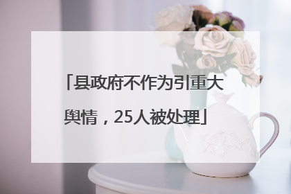 县政府不作为引重大舆情，25人被处理