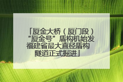 厦金大桥（厦门段）“厦金号”盾构机始发 福建省最大直径盾构隧道正式掘进