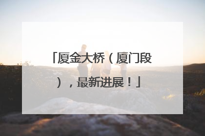 厦金大桥（厦门段），最新进展！