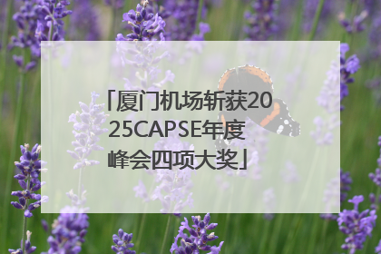 厦门机场斩获2025CAPSE年度峰会四项大奖