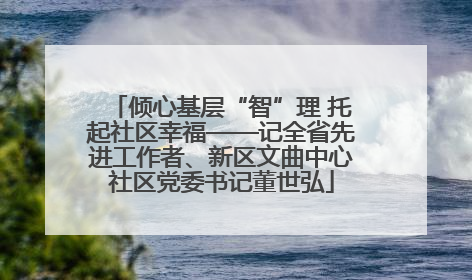 倾心基层“智”理 托起社区幸福——记全省先进工作者、新区文曲中心社区党委书记董世弘