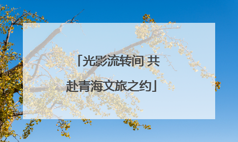 光影流转间 共赴青海文旅之约