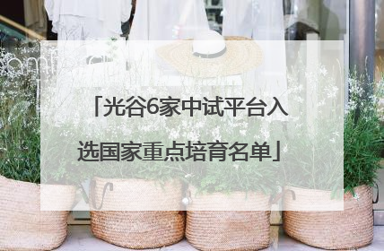 光谷6家中试平台入选国家重点培育名单
