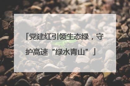 党建红引领生态绿，守护高速“绿水青山”
