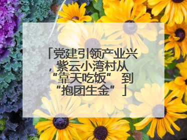 党建引领产业兴，紫云小湾村从 “靠天吃饭” 到 “抱团生金”