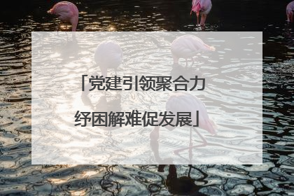 党建引领聚合力 纾困解难促发展