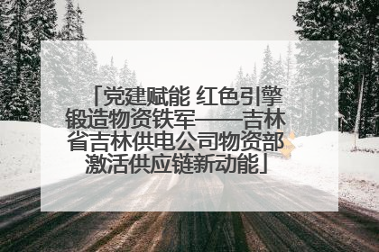 党建赋能 红色引擎锻造物资铁军——吉林省吉林供电公司物资部激活供应链新动能