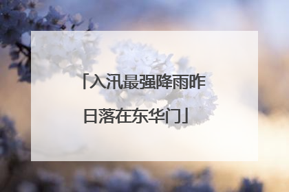 入汛最强降雨昨日落在东华门