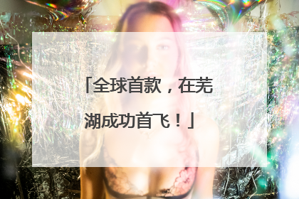 全球首款，在芜湖成功首飞！