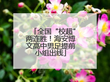 全国“校超”两连胜！海安博文高中男足提前小组出线