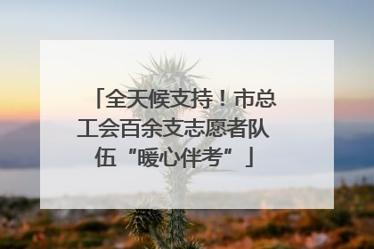 全天候支持！市总工会百余支志愿者队伍“暖心伴考”