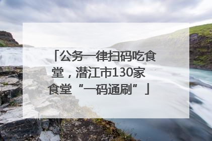 公务一律扫码吃食堂，潜江市130家食堂“一码通刷”