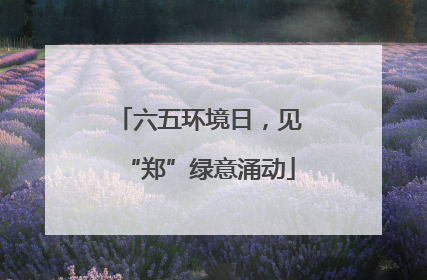 六五环境日，见“郑”绿意涌动