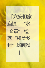 六安但家庙镇：“水文章” 绘就“和美乡村”新画卷