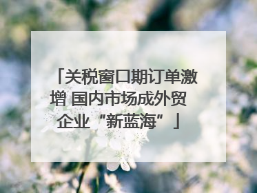 关税窗口期订单激增 国内市场成外贸企业“新蓝海”