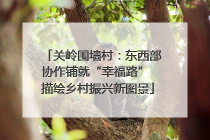 关岭围墙村：东西部协作铺就“幸福路” 描绘乡村振兴新图景